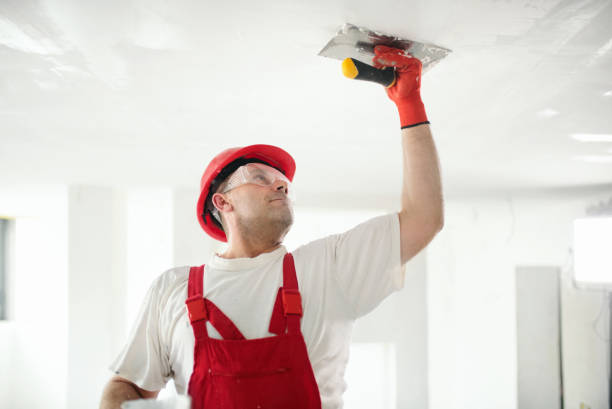  Bellaire, TX Mold Removal Pros